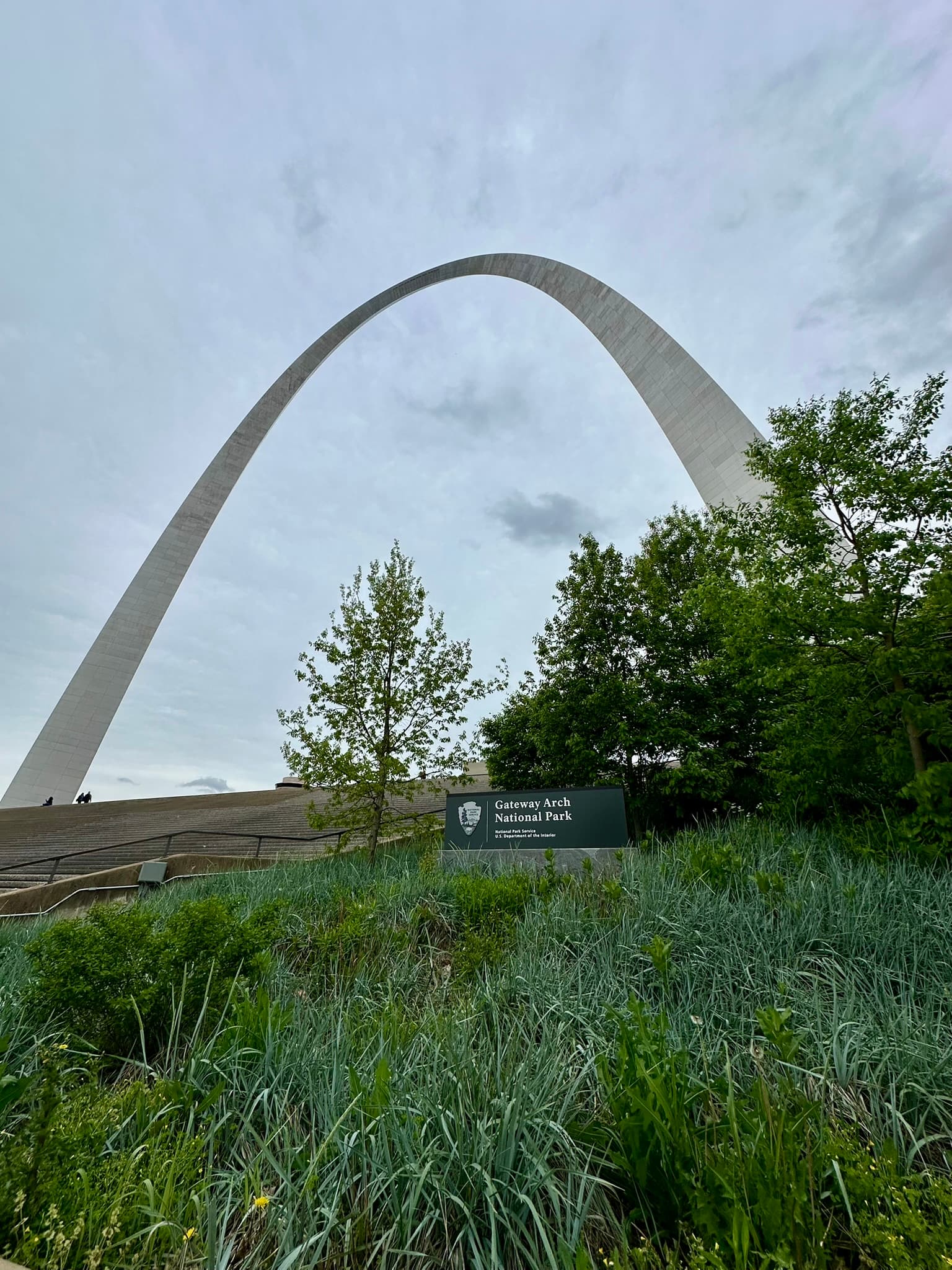 Falling for the Lou: A Guide to St. Louis Charm curated by Erika Allen
