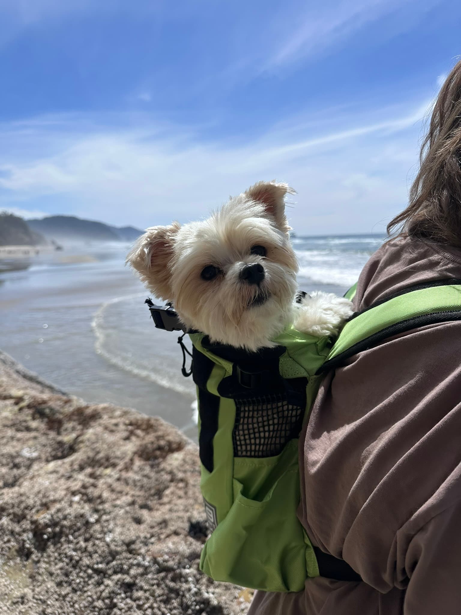 Oregon Coast Accessibility Adventure: Seaside to Lincoln City with 2 Service Dogs curated by Erika Allen