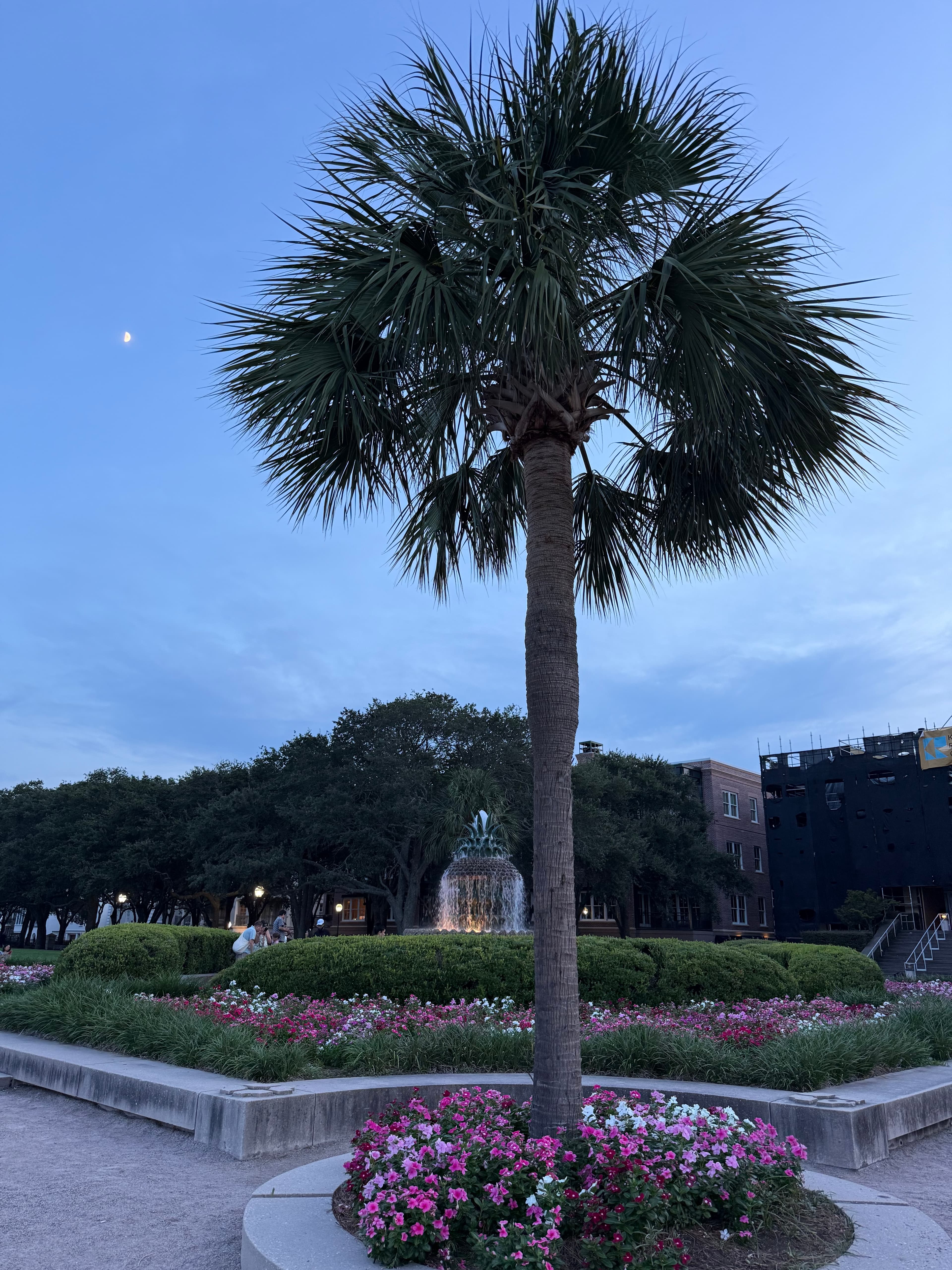 Lowcountry Adventures: A Kid-Friendly Charleston Guide curated by Jordan Christian