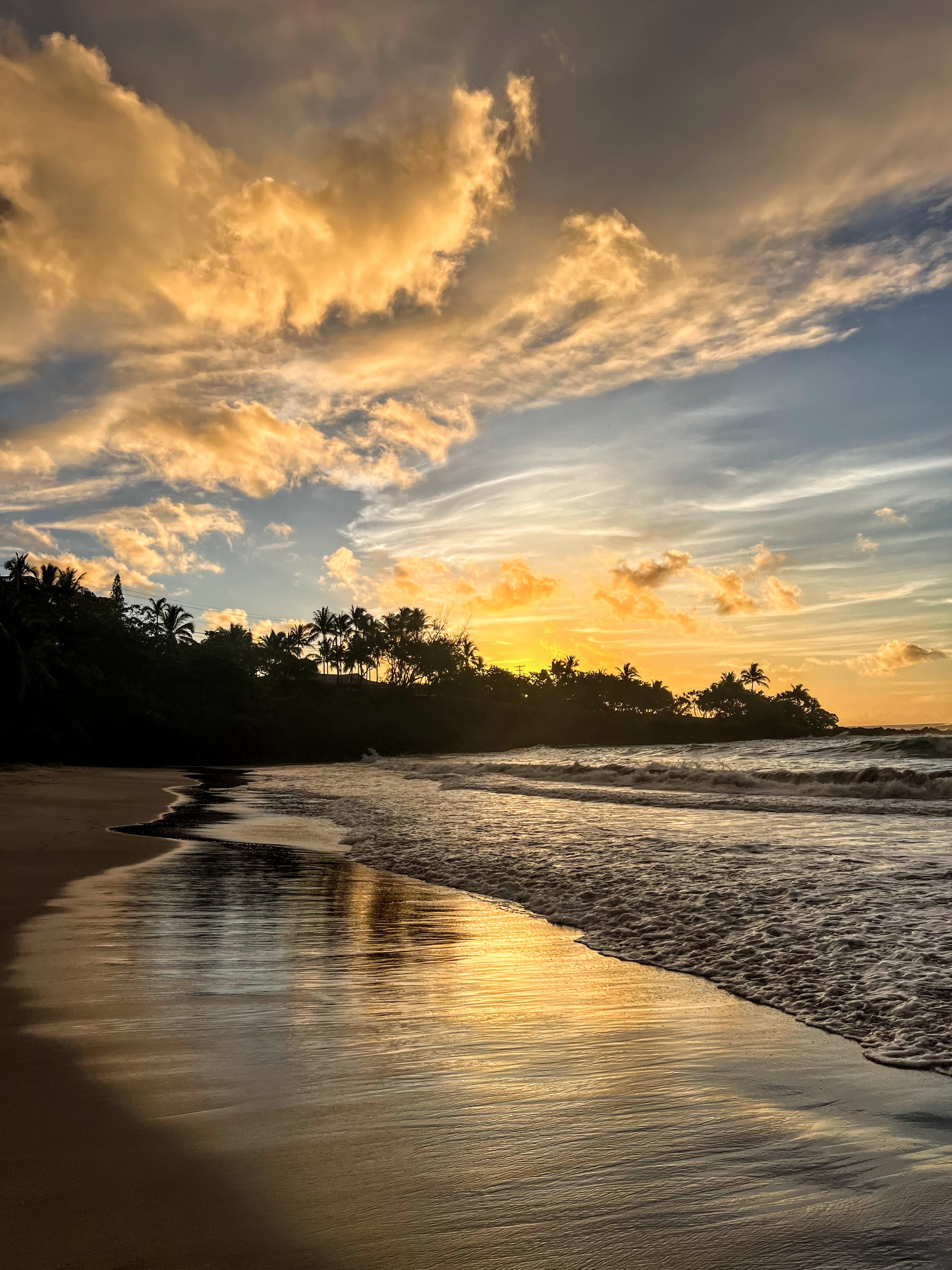 Paradise Calls: The Ultimate 7-Day Maui Itinerary curated by Meghan Irle