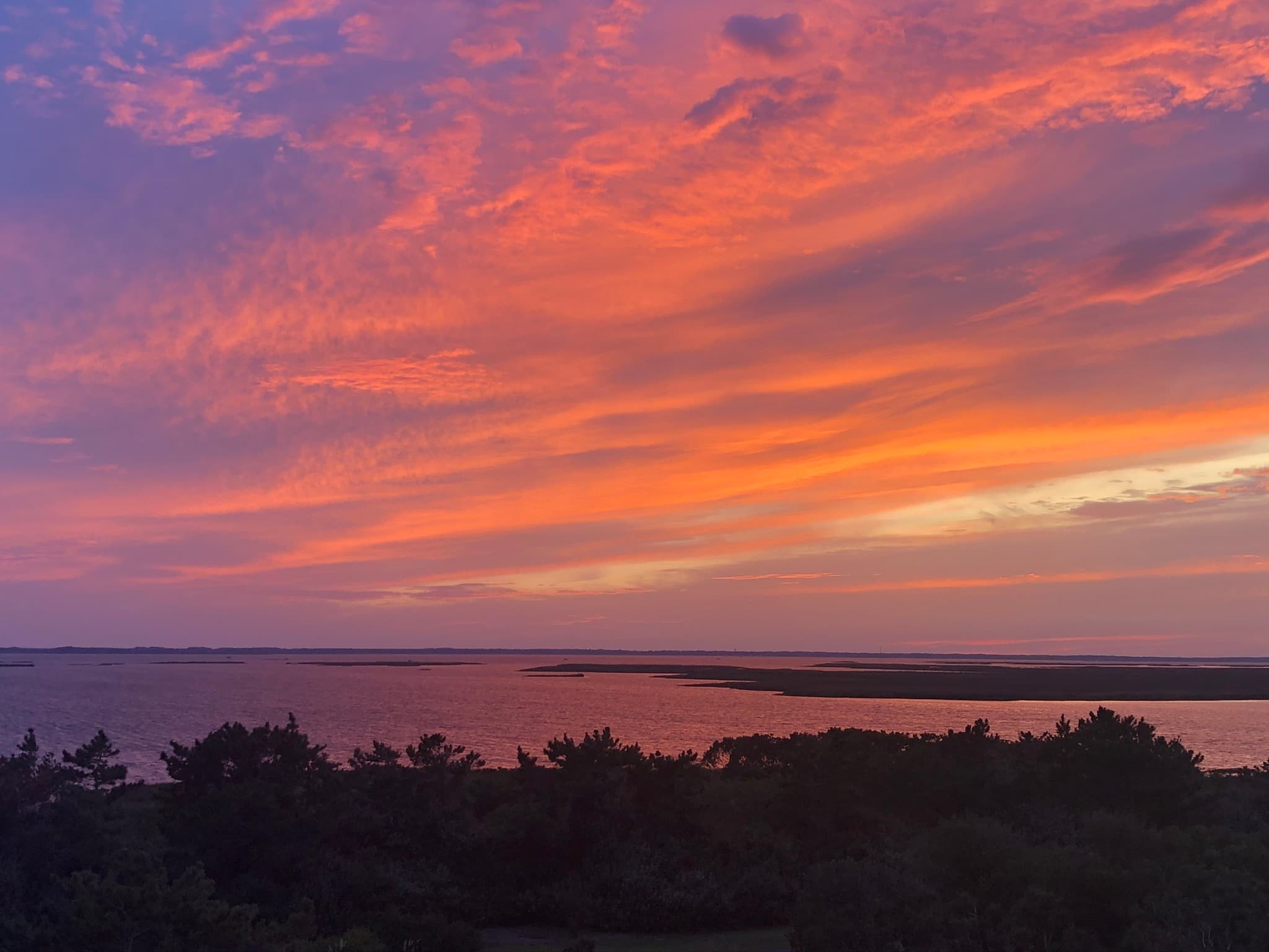 Family-Friendly Guide to North Carolina's Outer Banks curated by Jen Disler