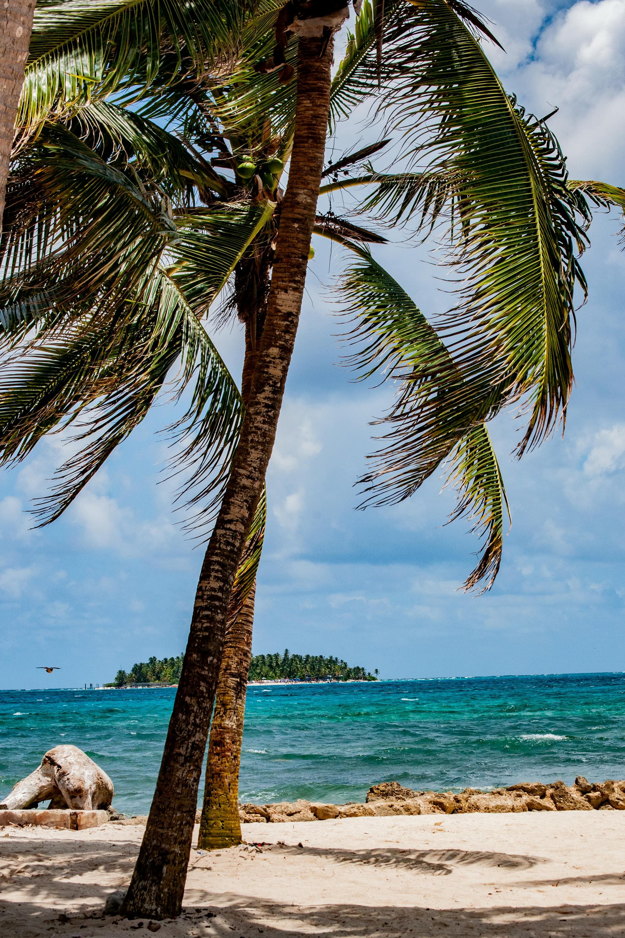 Caribbean Islands by Season: Where to Go Every Month of the Year curated by Amanda Schneider