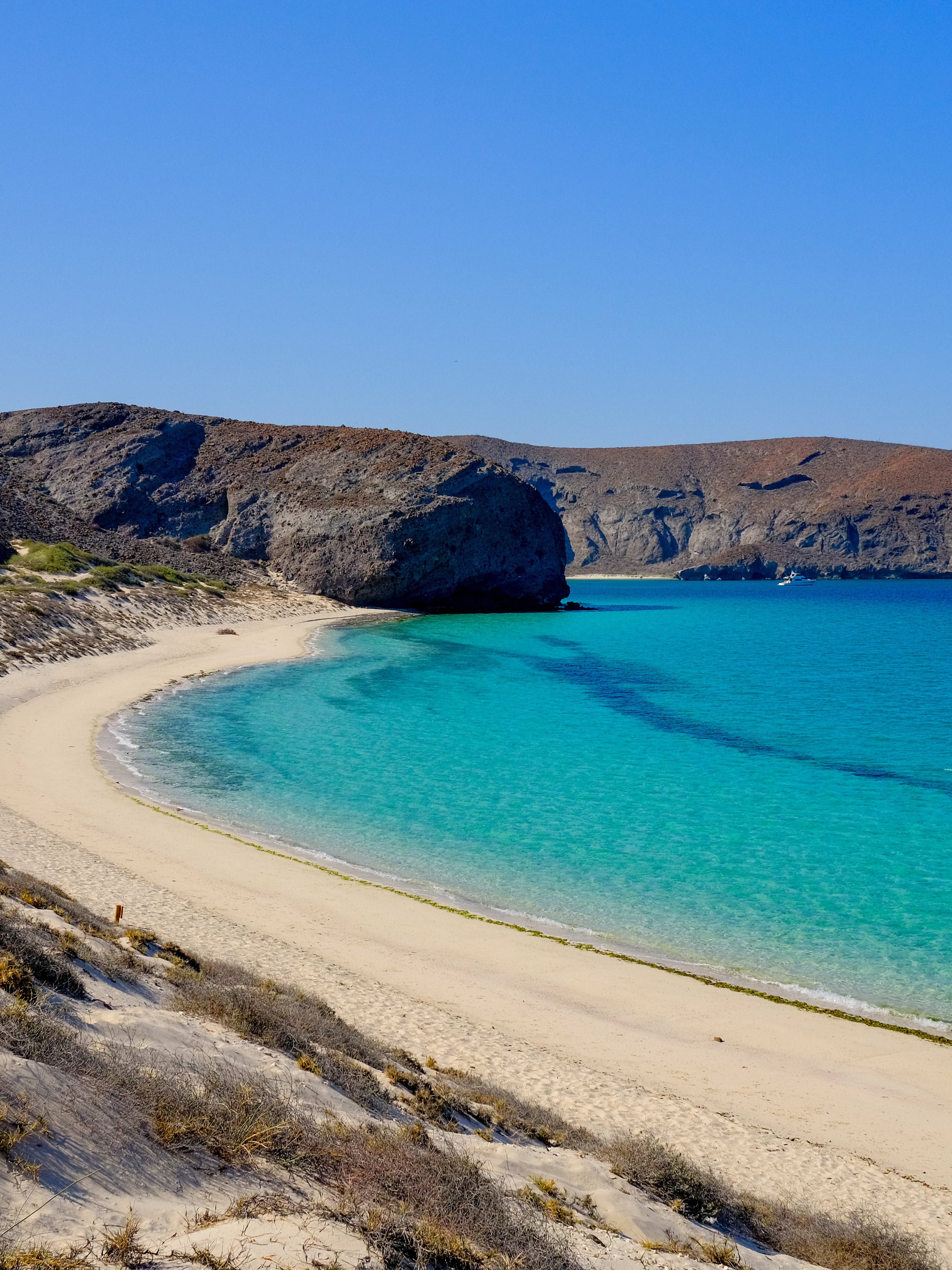 Still Life by the Sea: A Slow Journey in Todos Santos curated by Courtney Fischrup