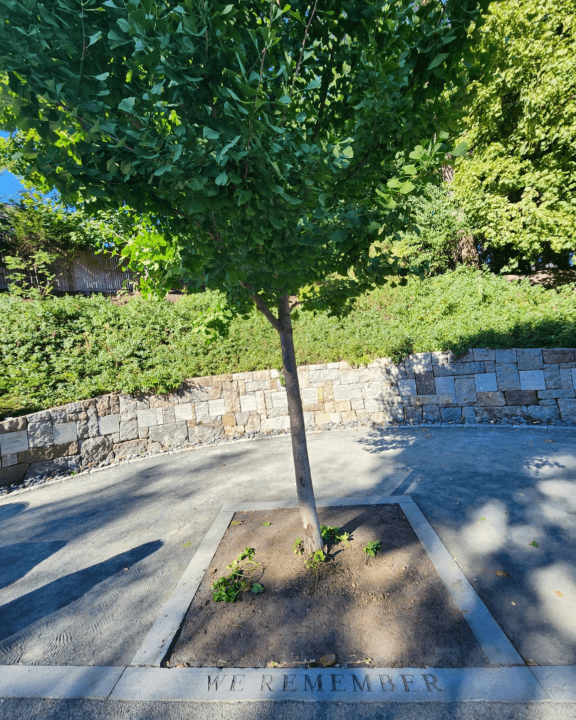 Salem, MA for Halloween & Beyond curated by Callie Milen