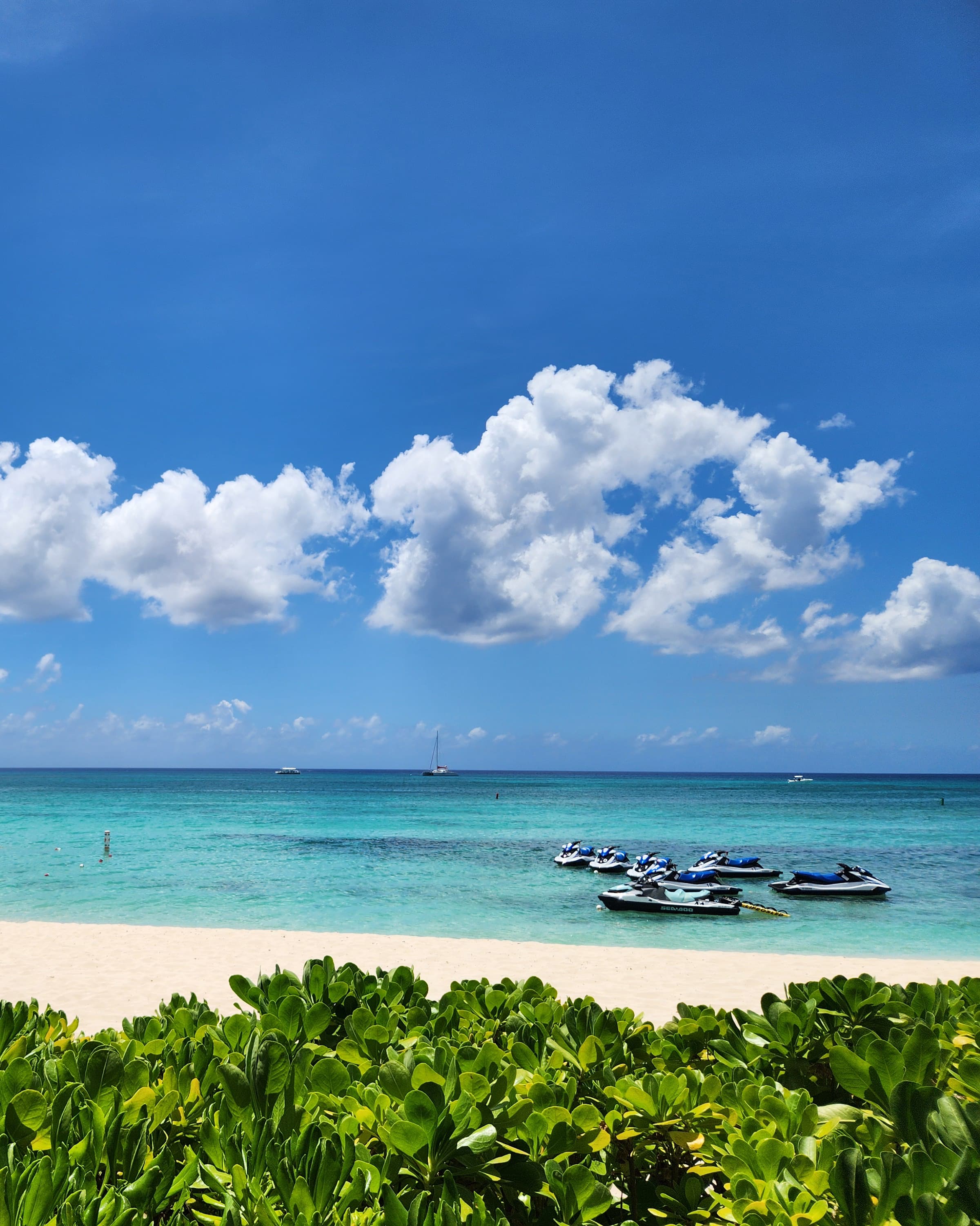 Grand Cayman: A Foodie’s Paradise curated by Christina Villella