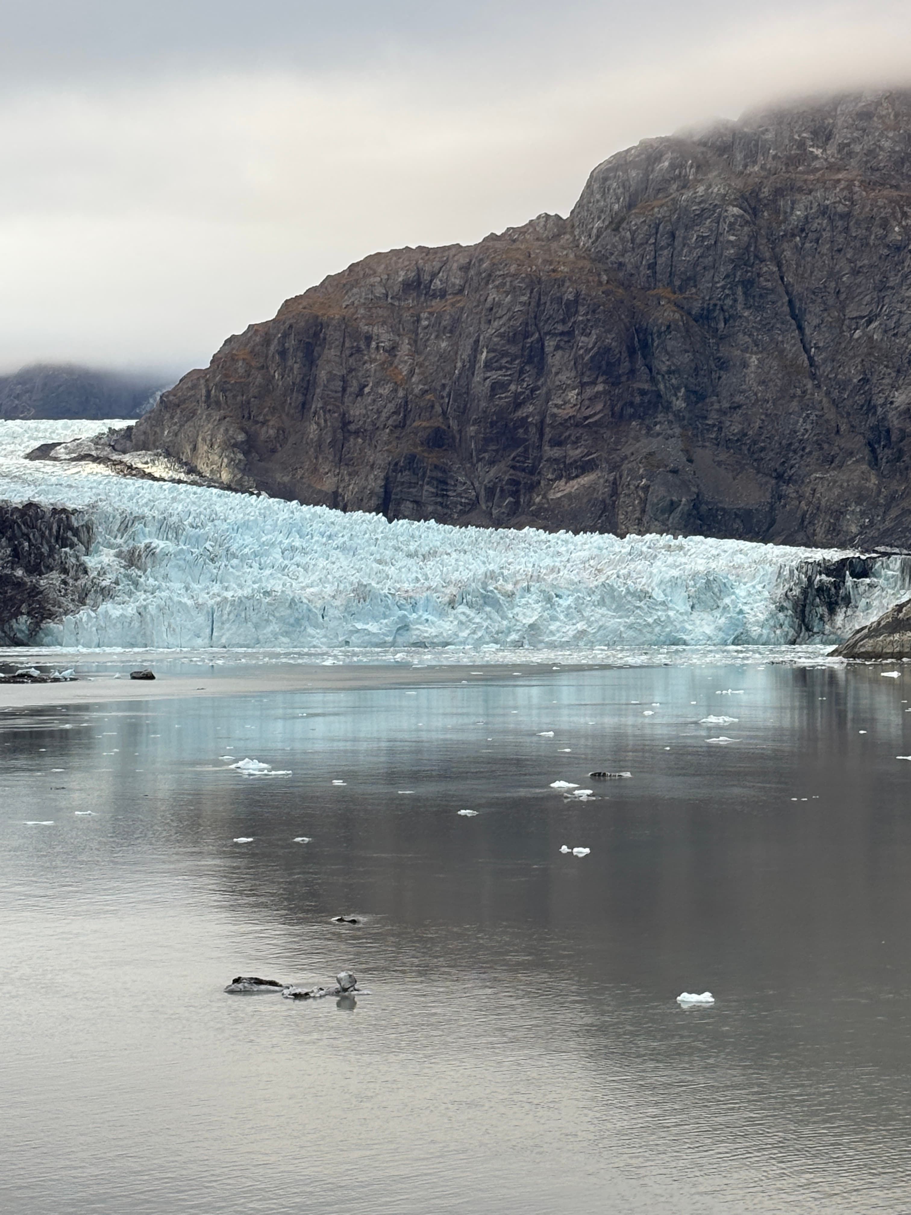 Exploring Alaska Aboard the Norwegian Encore: A Seminar at Sea Experience curated by Jenifer Truitt