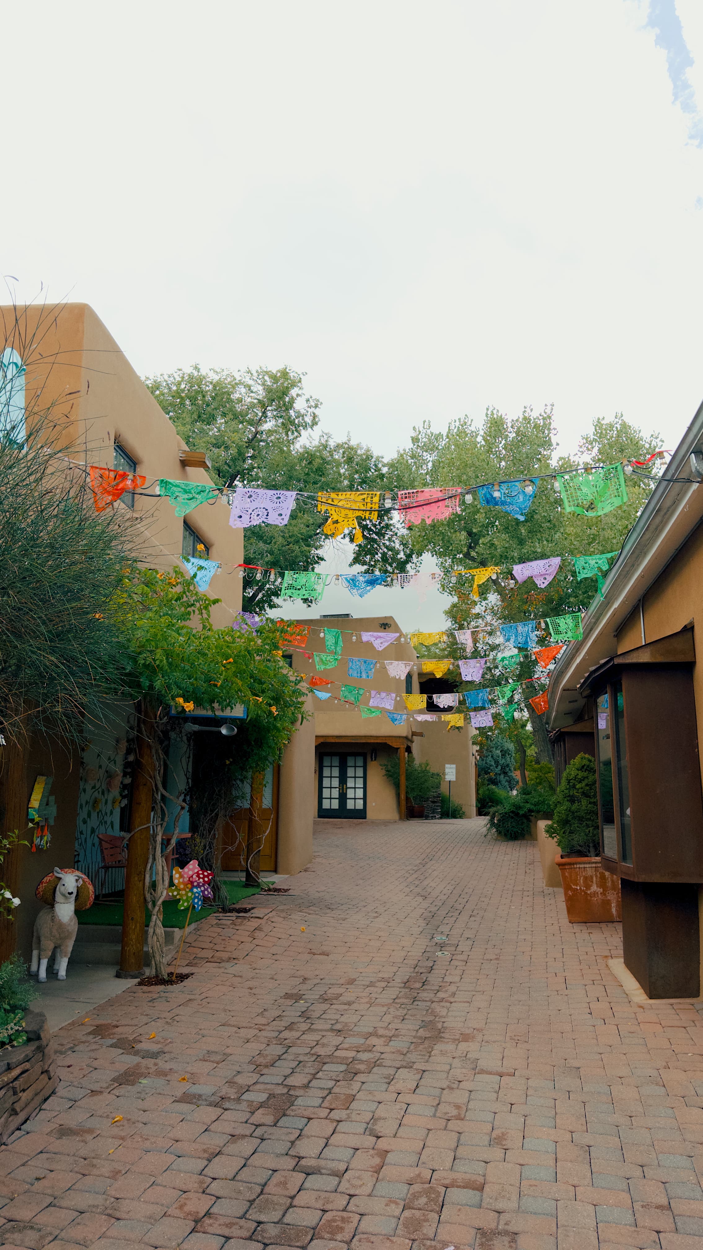 A Dog-Friendly Weekend in Santa Fe curated by Merissa Bradford