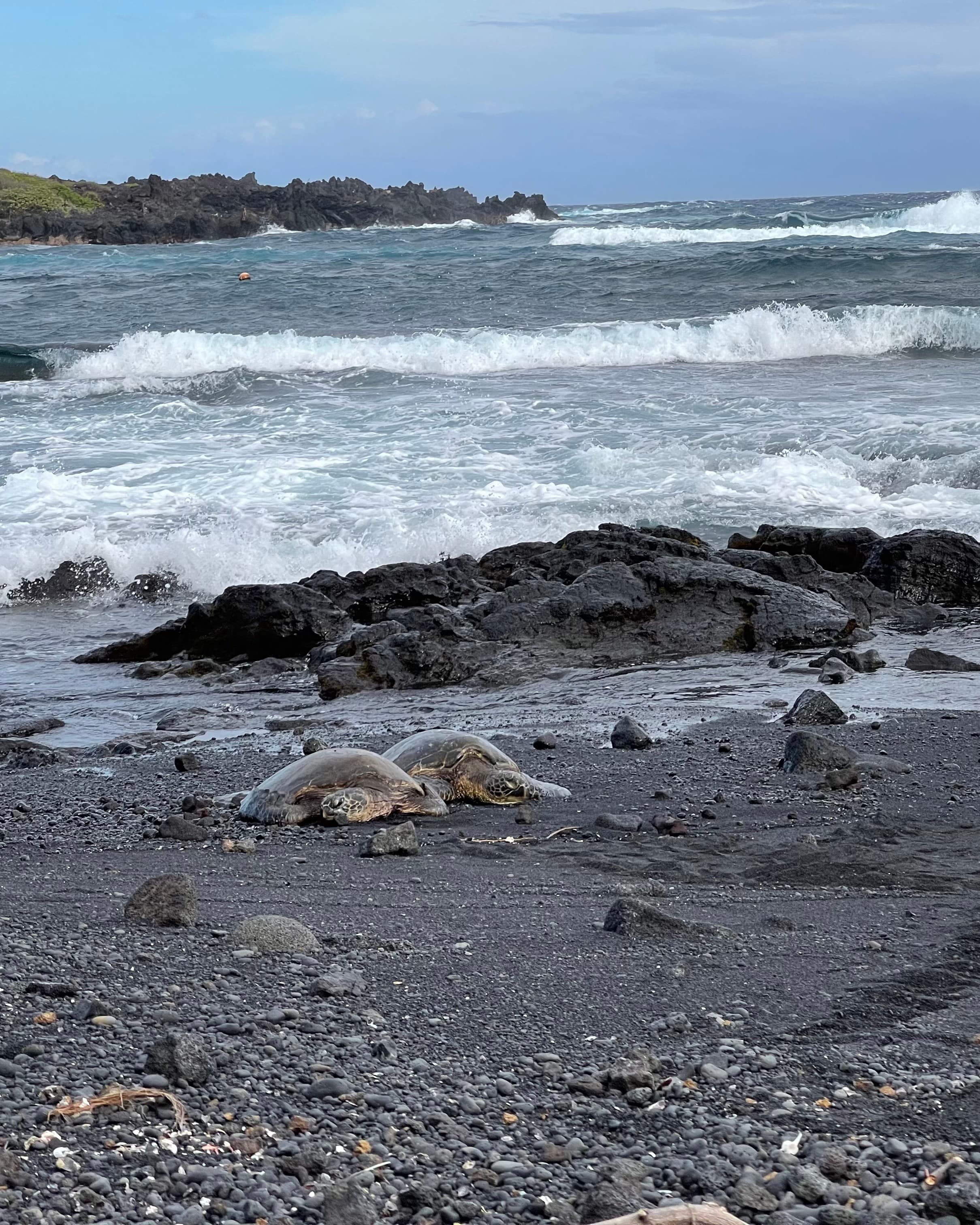 A Localʻs Guide to the Big Island curated by Lorraine Villanueva