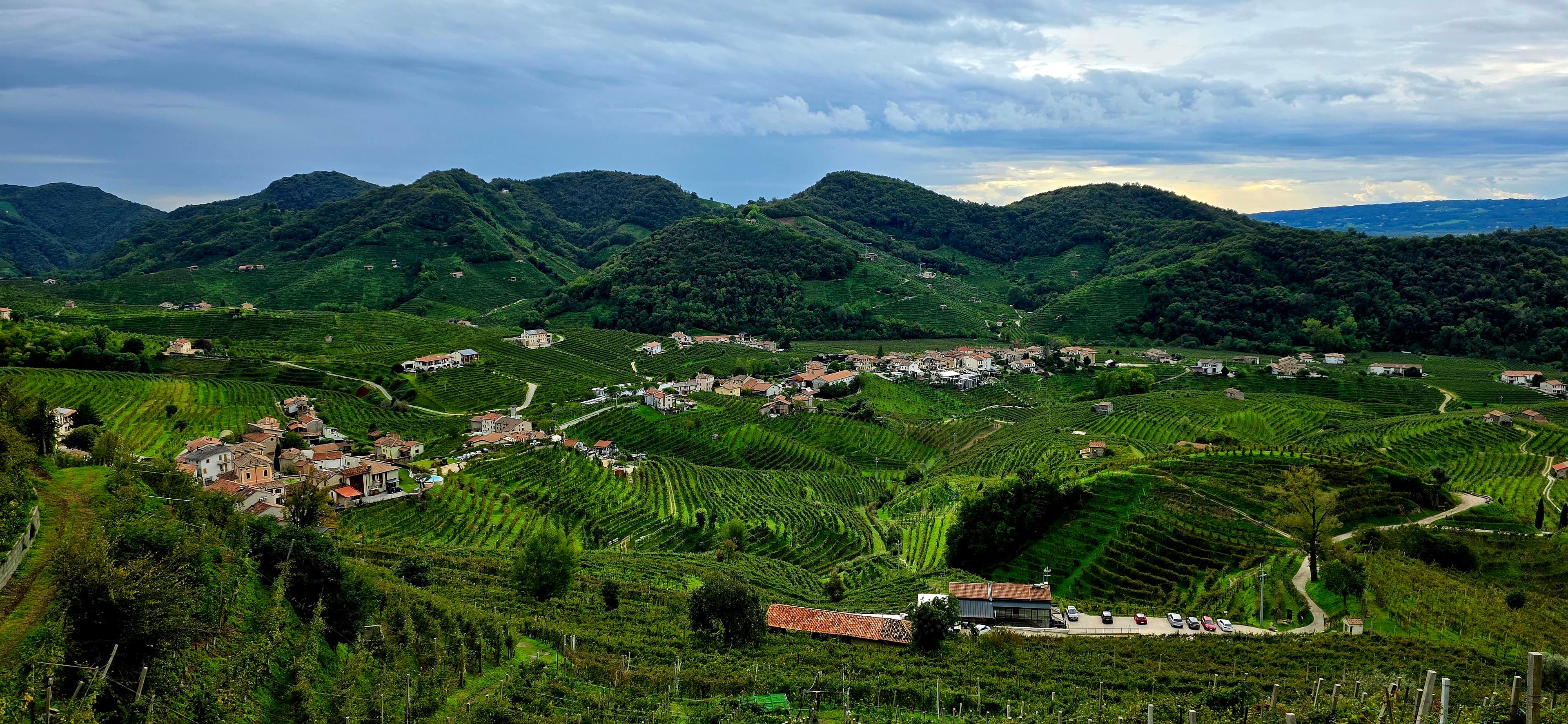 Bubbles Across Borders: A Sparkling Journey Through Cava, Champagne & Prosecco curated by Anne Martin