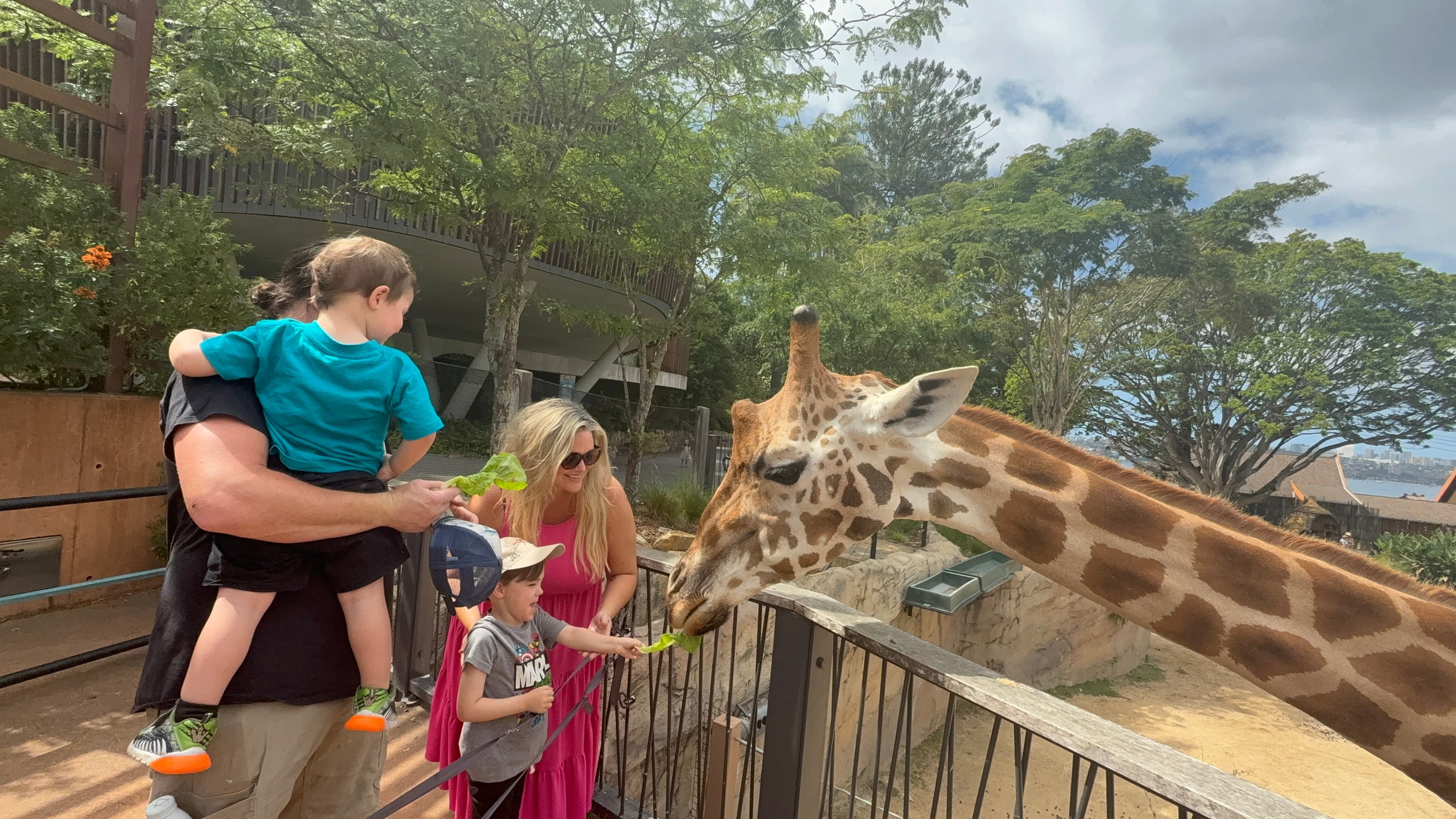 Married With Children: Sydney curated by Whitney Thompson