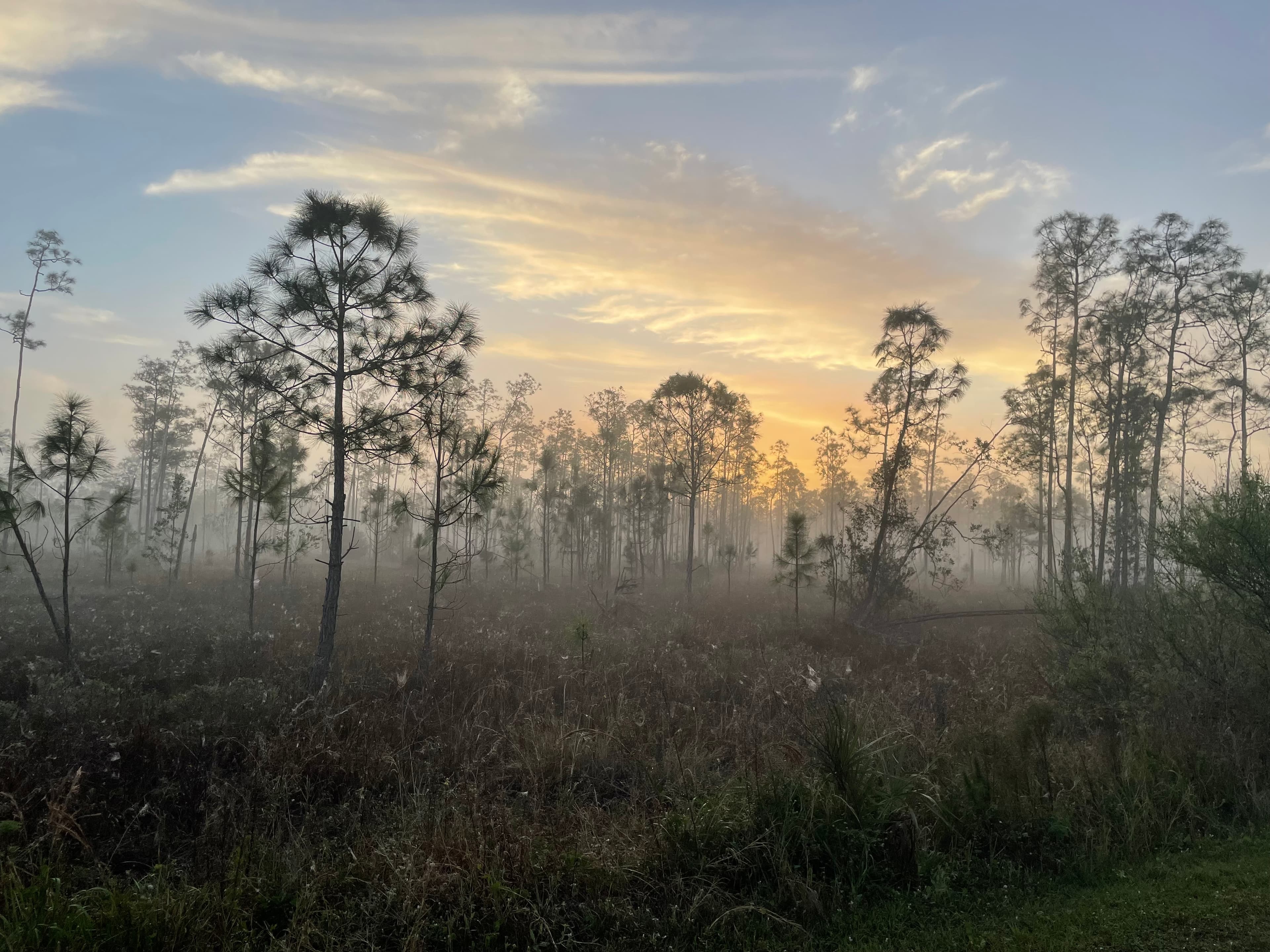 Naples Refined: An Insider’s Guide to Florida’s Most Elegant Coastal Escape curated by Michelle Tuzzolino