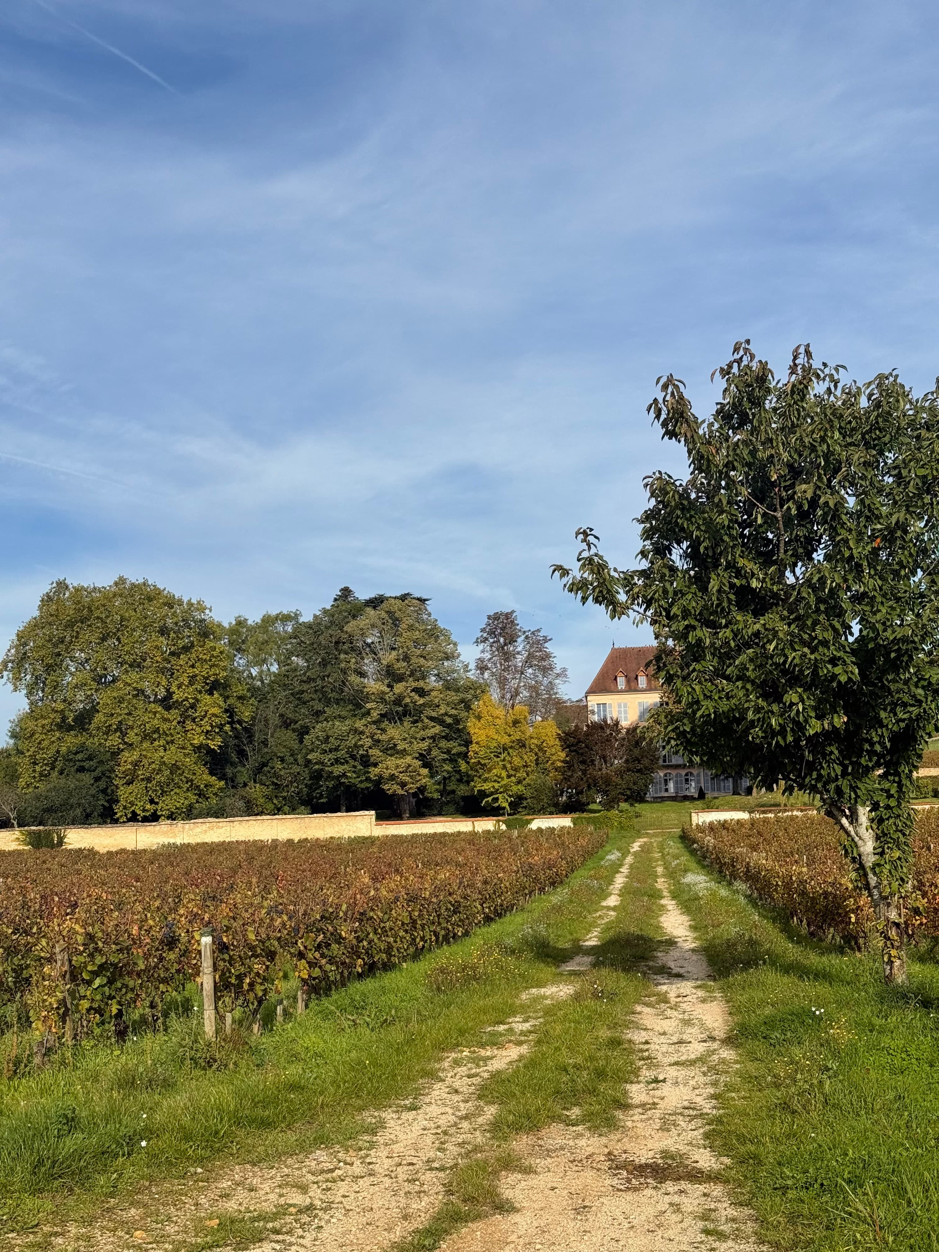 Beaune, Burgundy: A 2-Day Journey Through France’s Wine Heartland curated by Sydney Alepa
