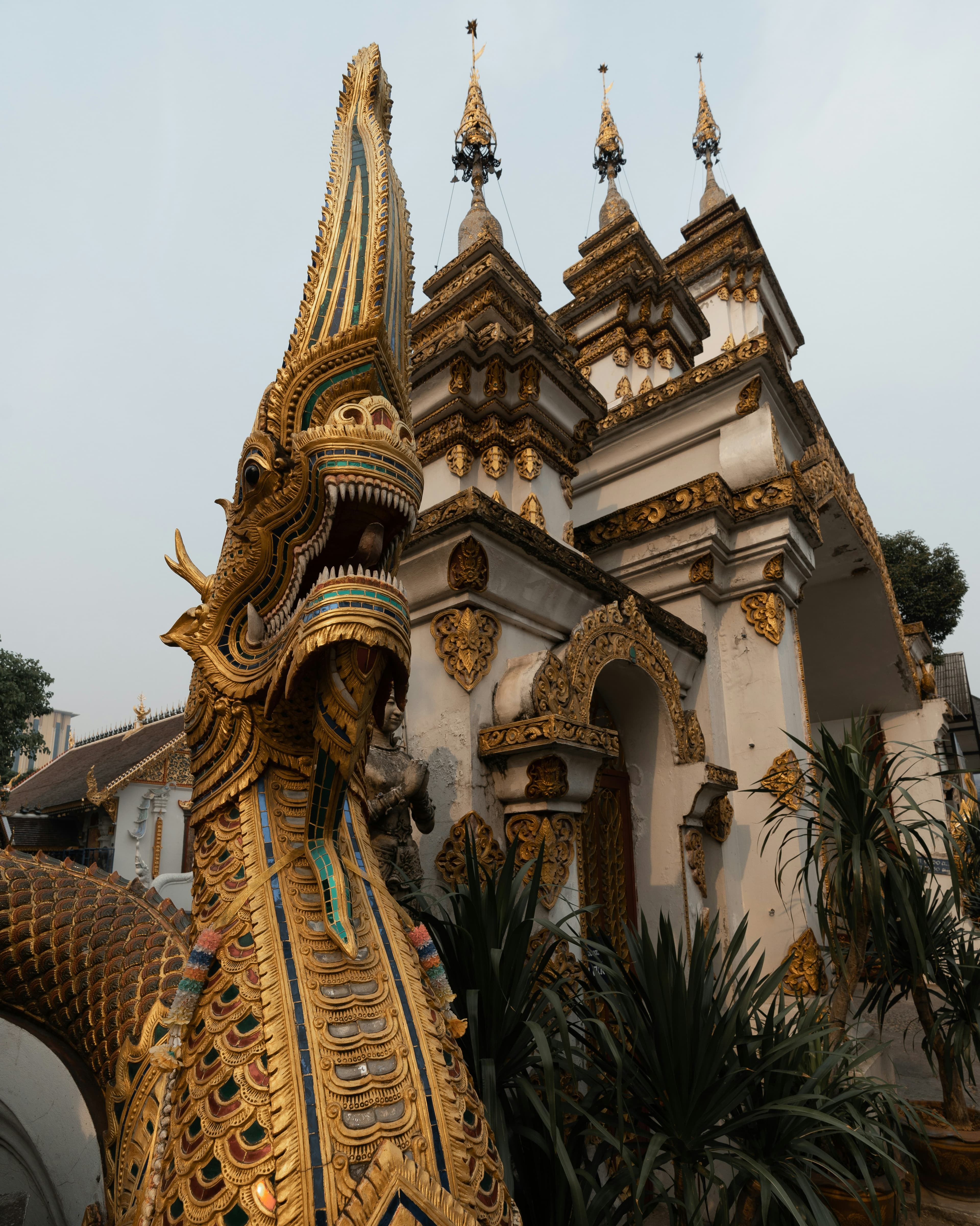A Solo Traveler's Guide to Chiang Mai curated by Tanner Carson