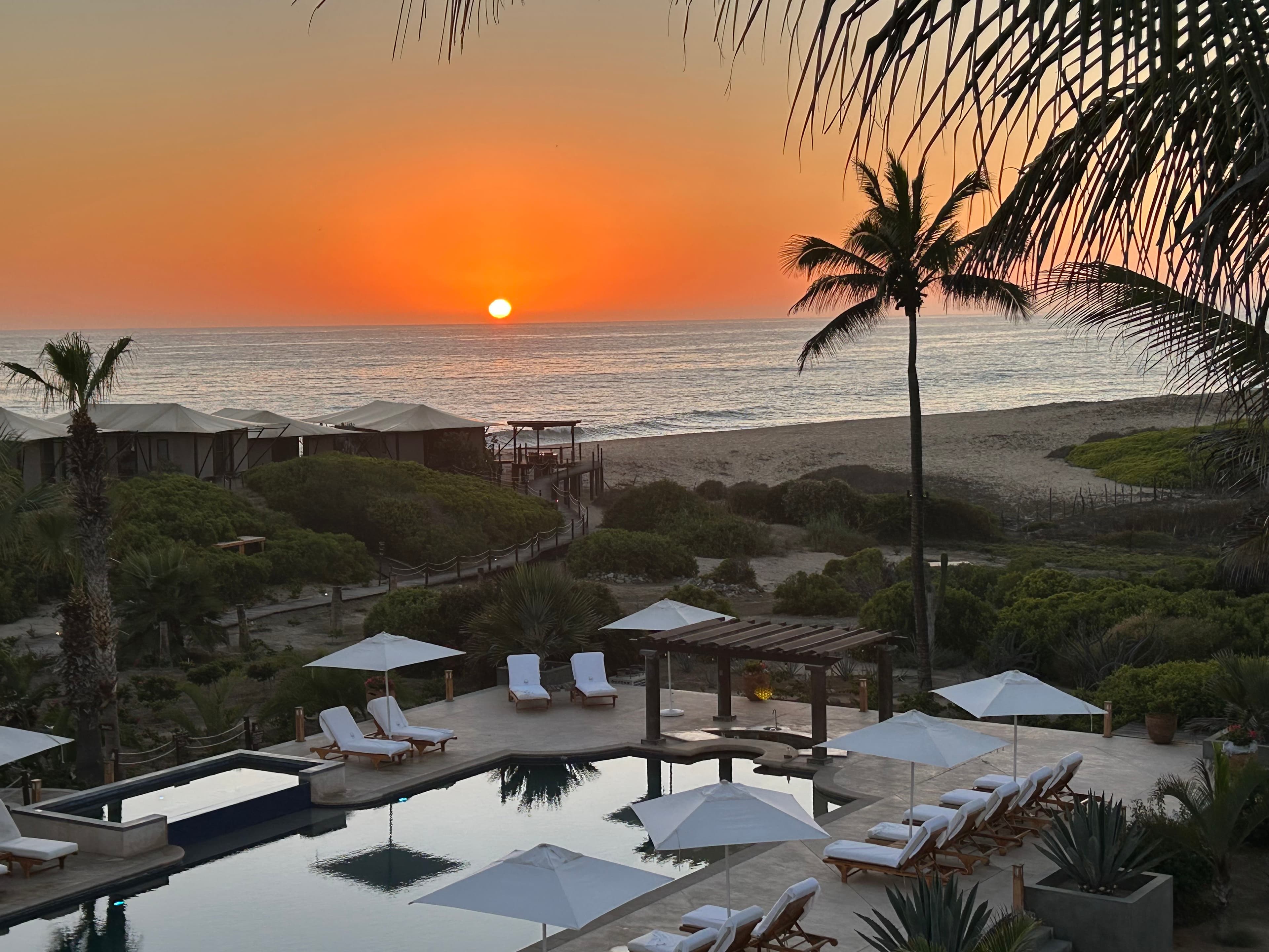 Exploring the Wonders of Todos Santos, Mexico curated by Keri Bartlett