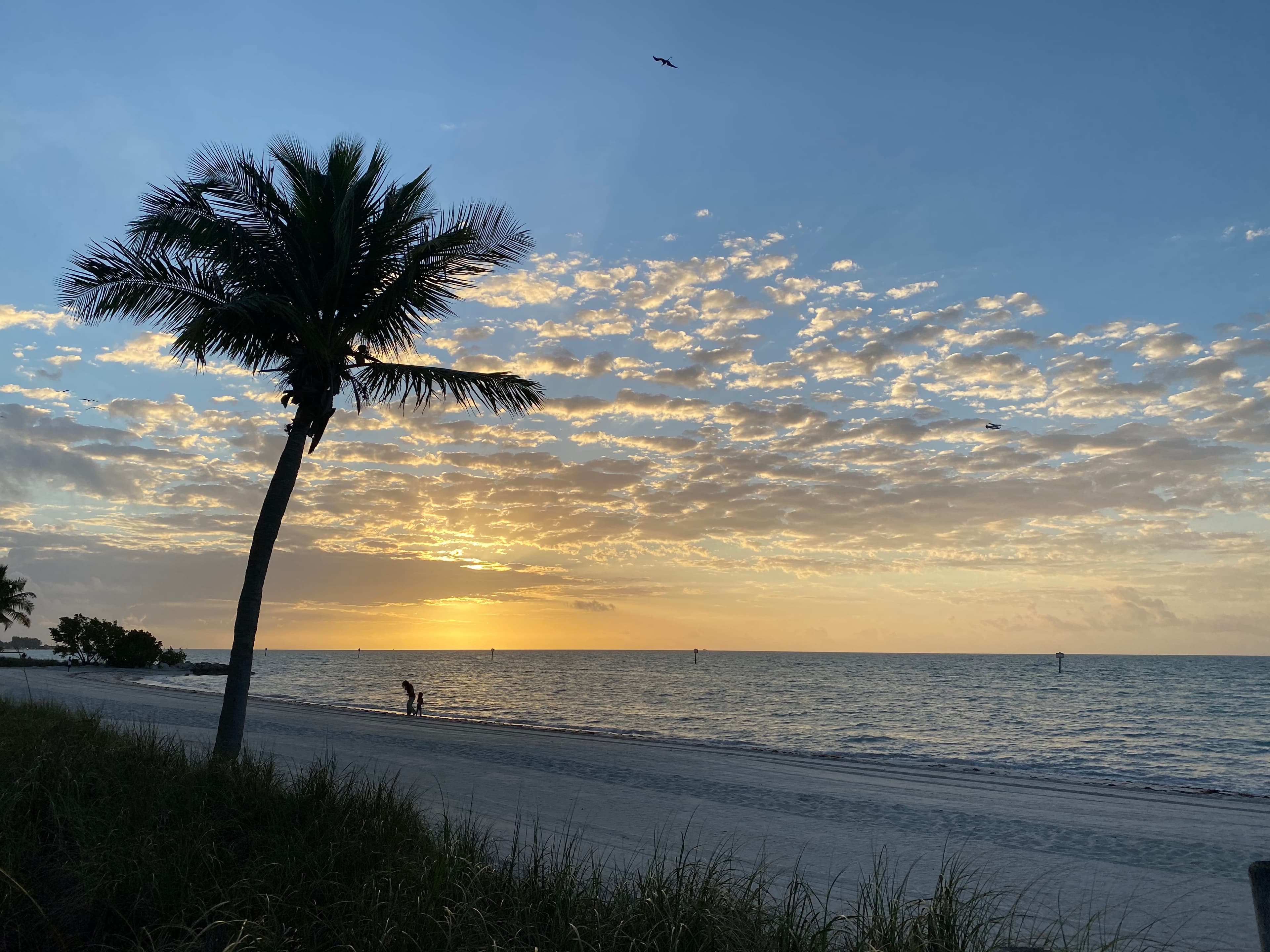 Living Like a Conch in Key West curated by Marissa Crawford