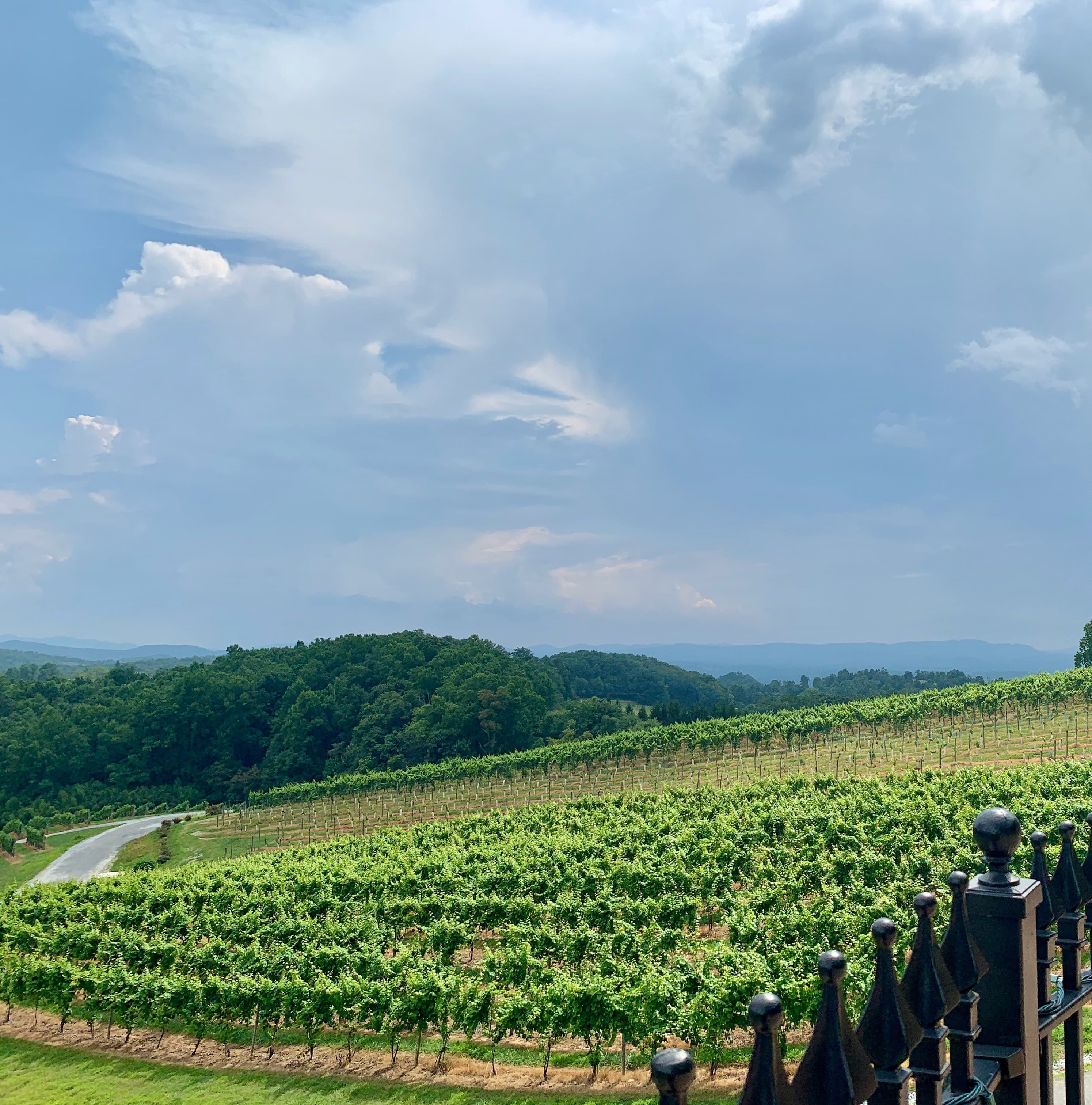 A Wine Weekend in Northern Virginia curated by Marissa Crawford