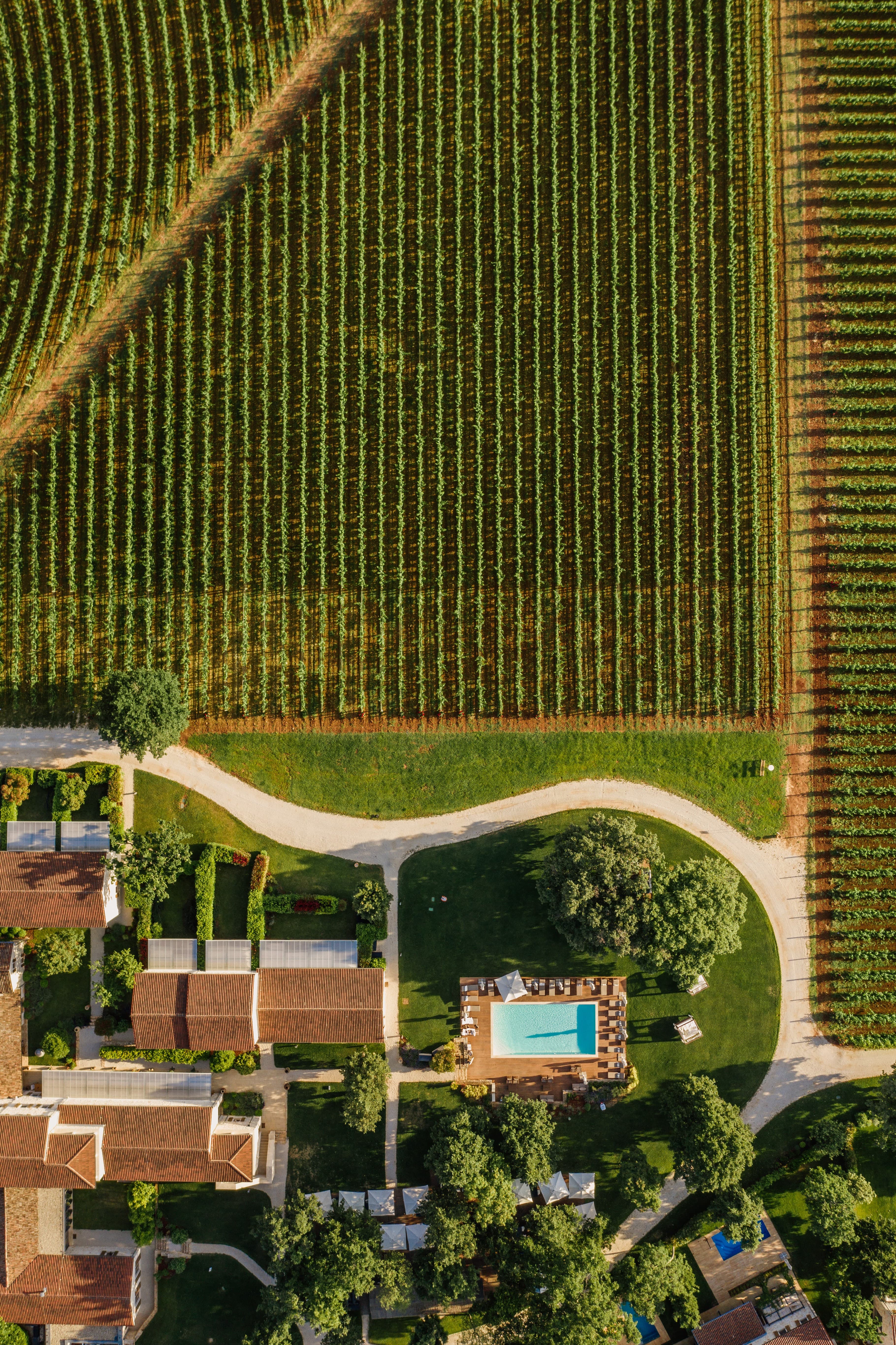 From Wine to Villa: Experiencing Meneghetti Wine Hotel & Winery curated by Angela Mrdesa
