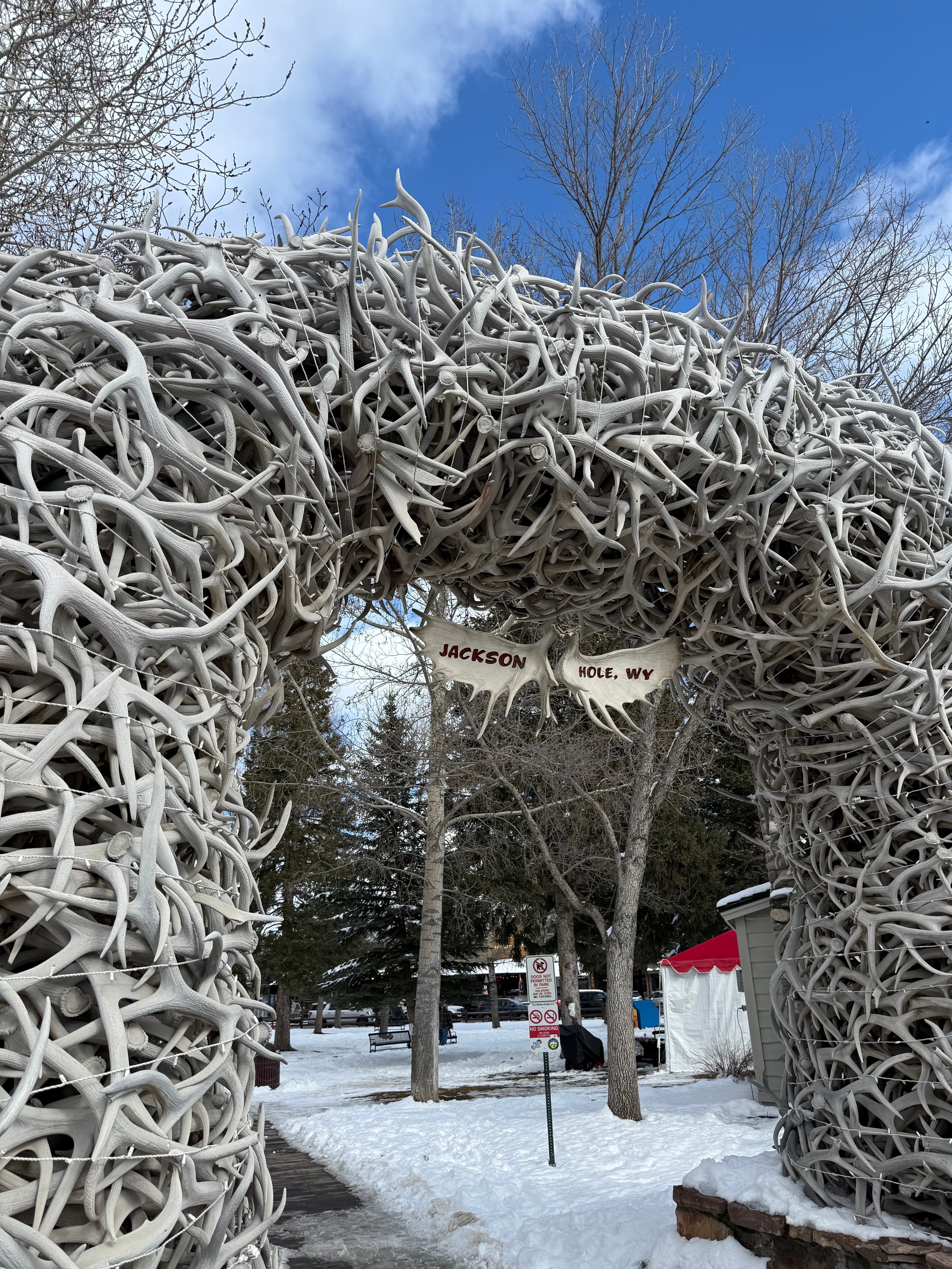 A Winter Escape to Jackson Hole: Skiing, Western Charm & the Four Seasons curated by Syd Wolchok