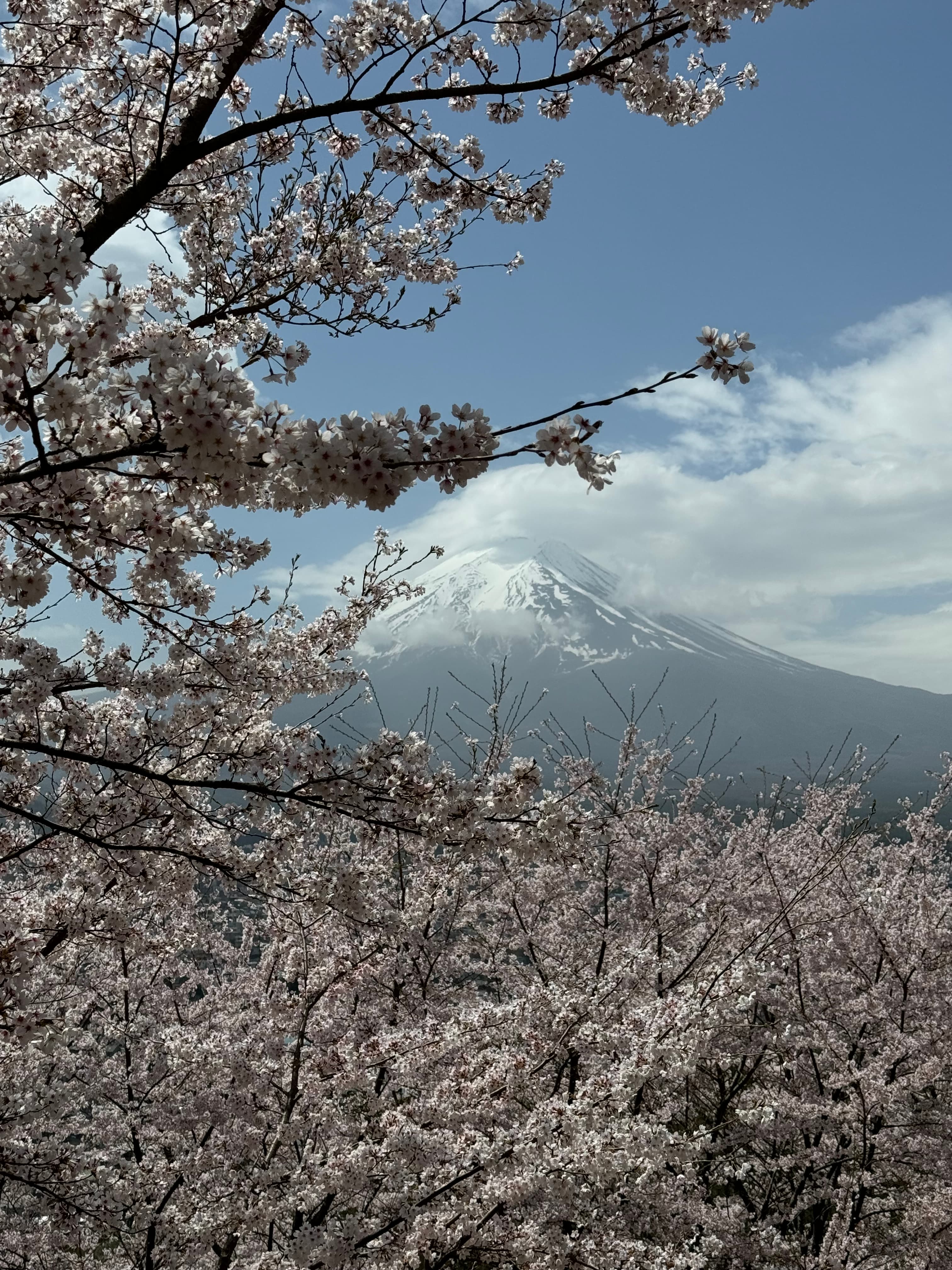 Travel photo 4