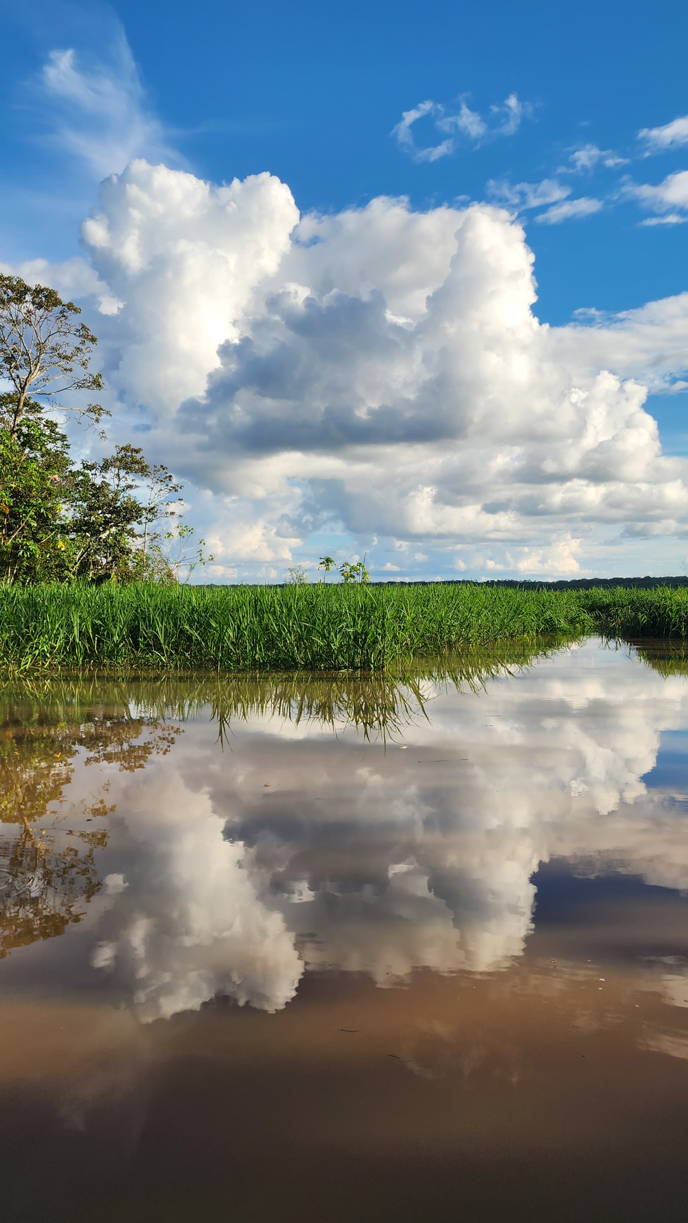 4 Nights on Aqua Nera: Aqua Expeditions Peruvian Amazon River Cruise curated by Heather Budd