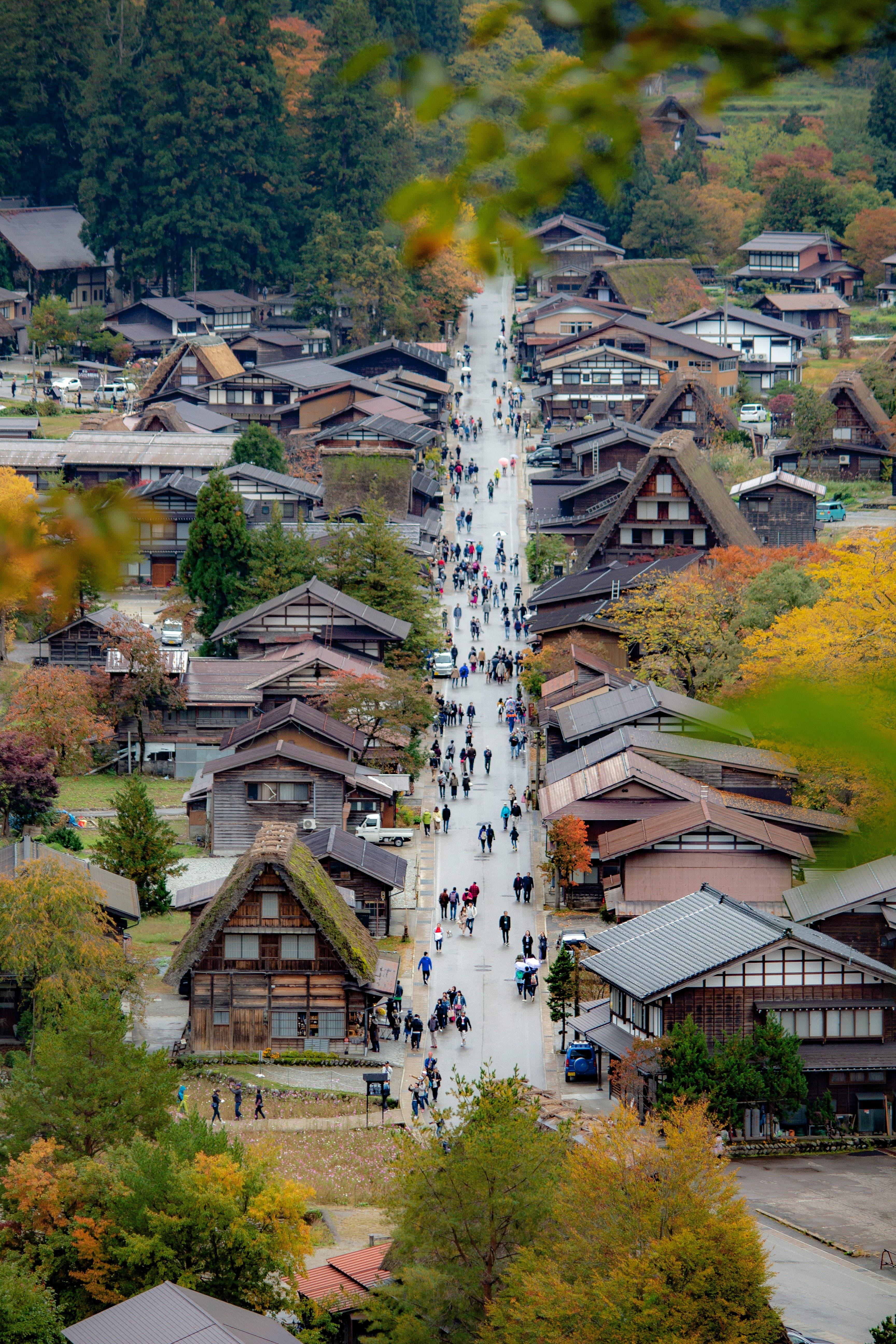 Japanese Alps: The Missing Piece in a Well-Designed Japan Trip curated by Alberto Mussali